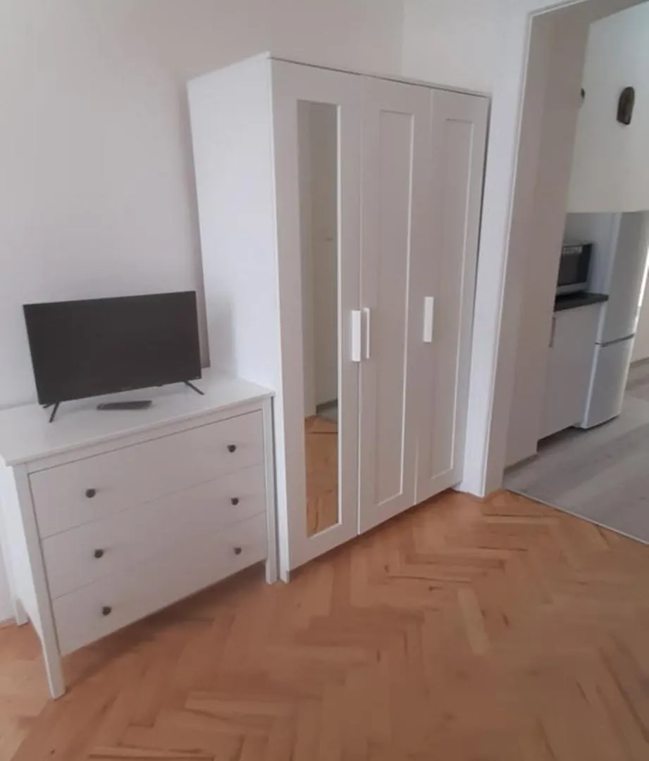 Small Sunny Park View Apartment Prague
