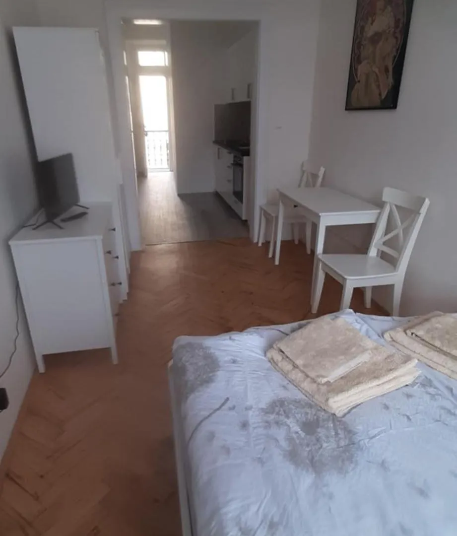 Small Sunny Park View Apartment Prague